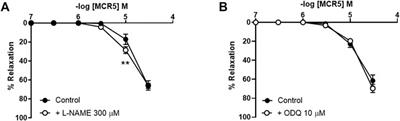 An Imidazoline 2 Receptor Ligand Relaxes Mouse Aorta via Off-Target Mechanisms Resistant to Aging